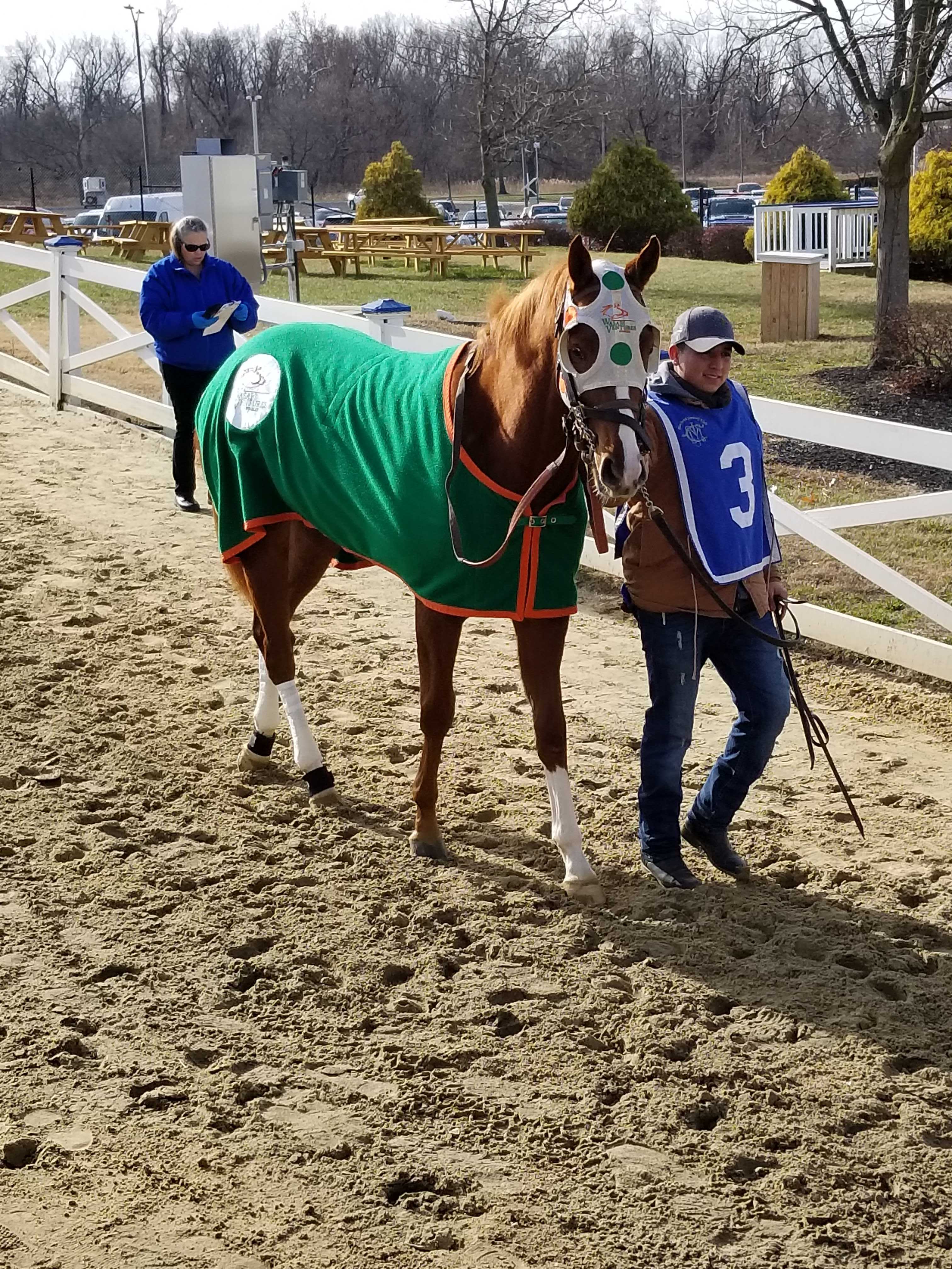 Wasabi Ventures Stables